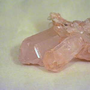 crystal garden